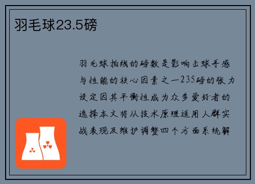 羽毛球23.5磅