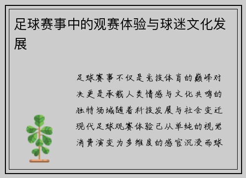 足球赛事中的观赛体验与球迷文化发展