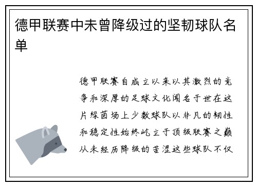 德甲联赛中未曾降级过的坚韧球队名单